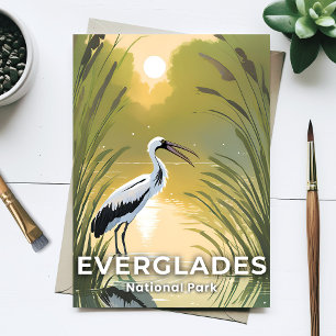 Everglades National Park   Watercolor Stork Postcard