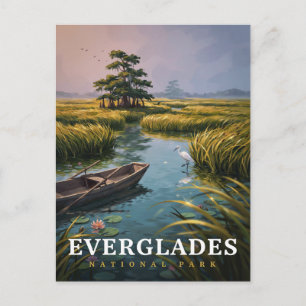 Everglades National Park Wetland Wilderness Postcard