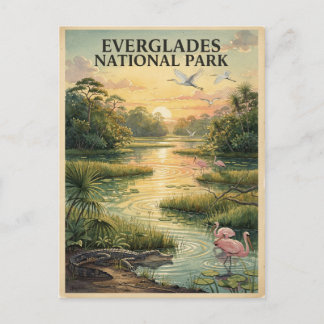 Everglades National Park Wildlife Watercolor Postcard