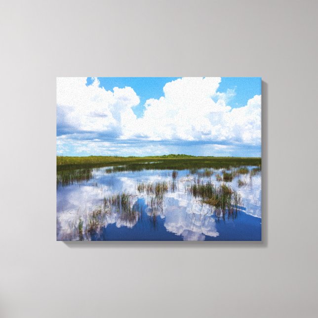 Everglades Natural Landscape Canvas Print (Front)
