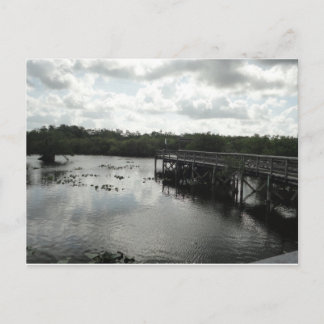 Everglades Postcard