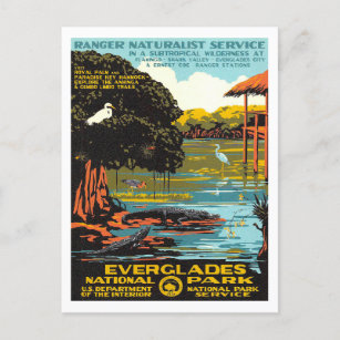 Everglades Postcard