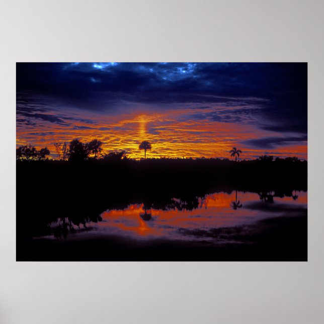 Everglades Sunset Poster (Front)