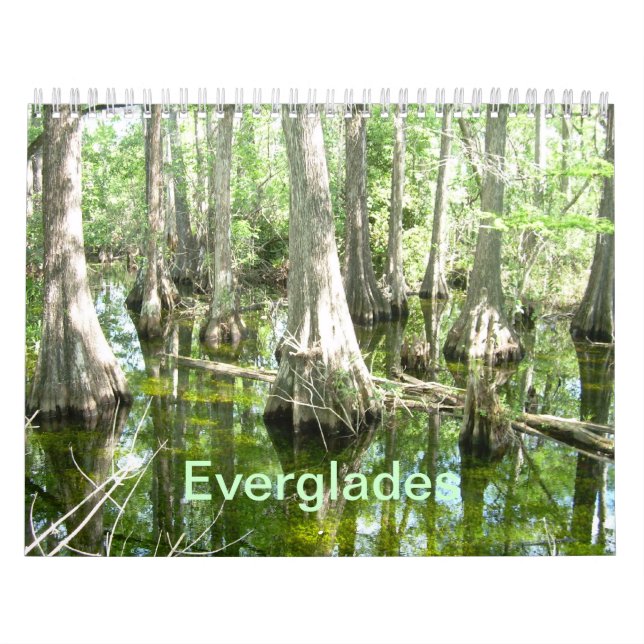 Everglades Wall Calendar (Cover)