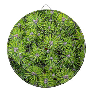 Evergreen branches dartboard