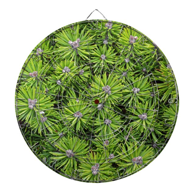 Evergreen branches dartboard (Front)