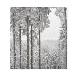 Evergreen forest in winter notepad