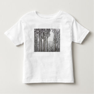 Evergreen forest in winter toddler T-Shirt