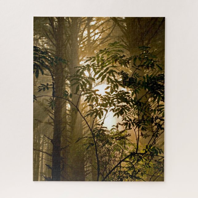 Evergreen Forest | Oregon Coast Jigsaw Puzzle (Vertical)