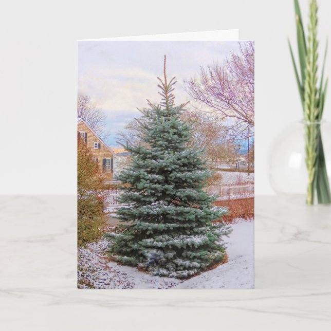 Evergreen in Winter  Thank You Card (Front)