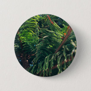 Evergreen pine-tree conifer 6 cm round badge