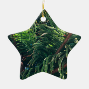 Evergreen pine-tree conifer  ceramic tree decoration