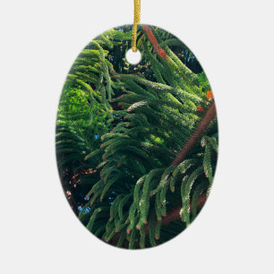 Evergreen pine-tree conifer  ceramic tree decoration