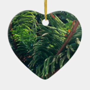 Evergreen pine-tree conifer ceramic tree decoration