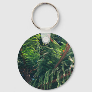 Evergreen pine-tree conifer  key ring