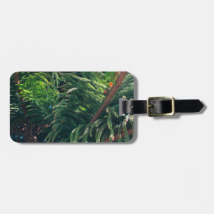 Evergreen pine-tree conifer  luggage tag