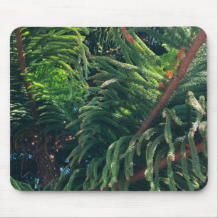 Evergreen pine-tree conifer mouse pad
