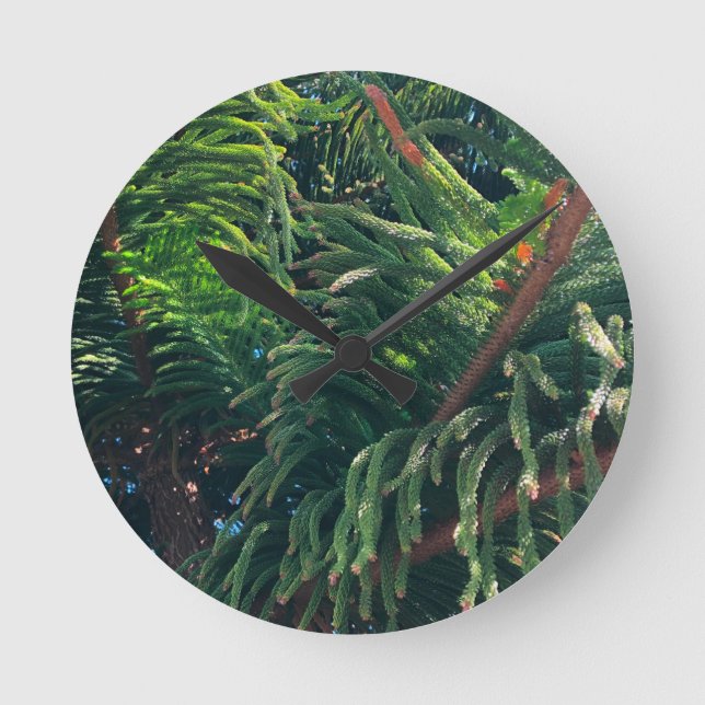 Evergreen pine-tree conifer  round clock (Front)