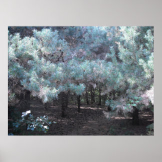 Evergreen Serenity Poster