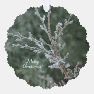 Evergreen Sparkling Frost Merry Christmas  Tree Decoration Card