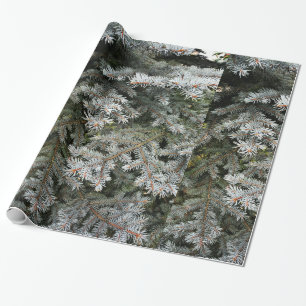Evergreen tree   wrapping paper