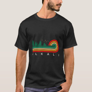 Evergreen Vintage Stripes Alkali Nevada T-Shirt