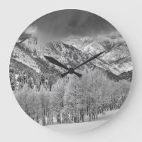 Evergreens and Aspen trees in a snow storm