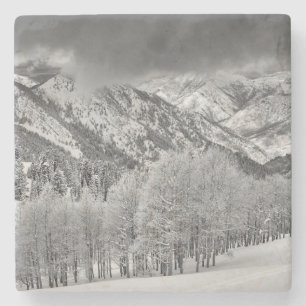 Evergreens and Aspen trees in a snow storm Stone Coaster