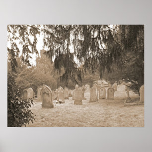 Evergreens And Gravestones Poster