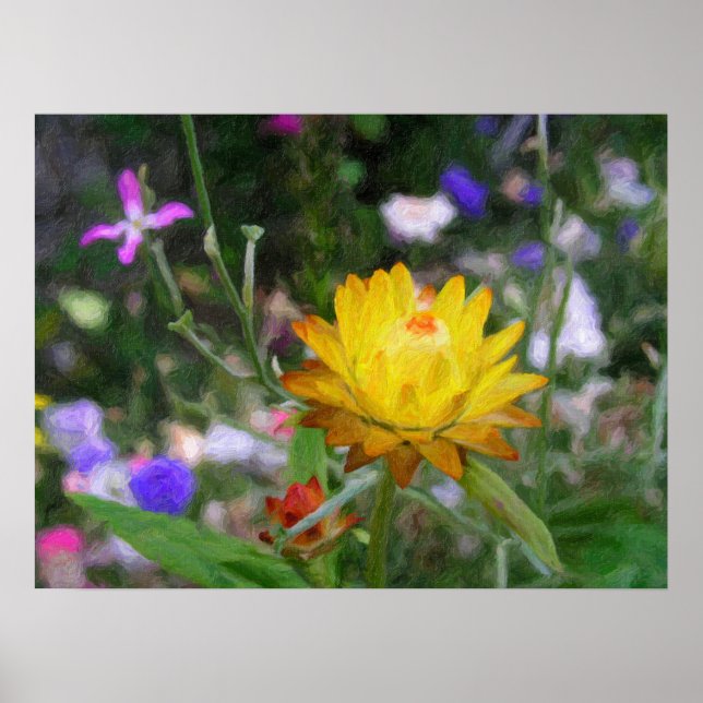 Everlasting Flowers. Poster (Front)