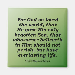Everlasting Life Christmas John 3-16 Magnet