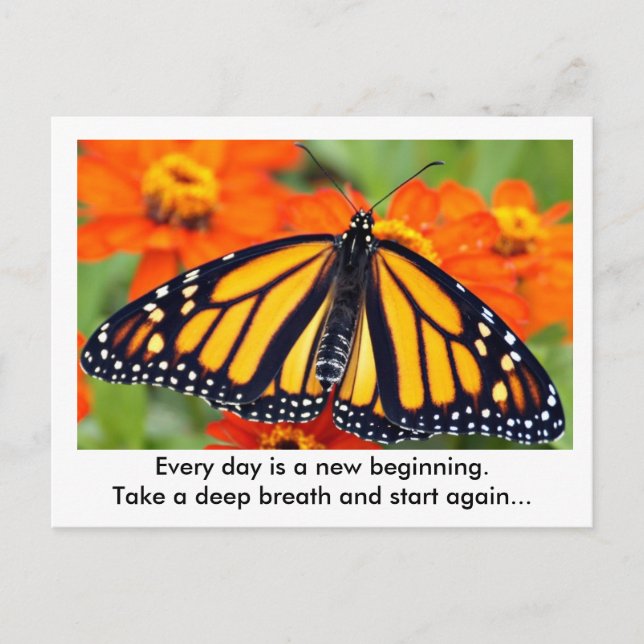Every day is a new beginning...Monarch butterfly Postcard (Front)