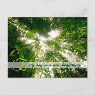Every Day is a New Beginning Sunlight Trees Forest Postcard