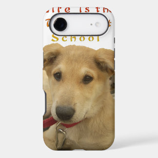 Every Dog Has iTS  DAY  Hakuna Matata Happy days a