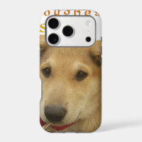 Every Dog Has iTS DAY Hakuna Matata Happy days a