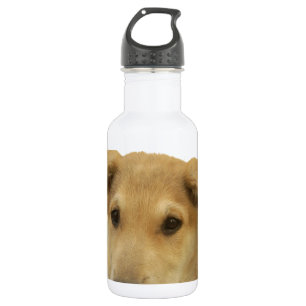 Every Dog Has iTS  DAY  Hakuna Matata Happy days a 532 Ml Water Bottle