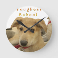 Every Dog Has iTS  DAY  Hakuna Matata Happy days a