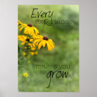 Every Experience Makes You Grow Poster