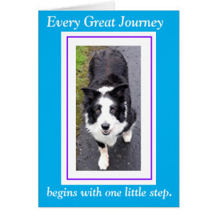 Every long journey begins with one little step col