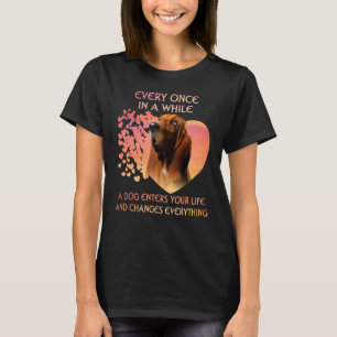 Every Once In A While A Basset Hound Enters You Li T-Shirt