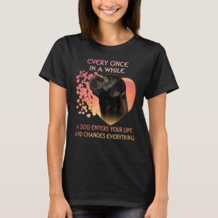 Every Once In A While A Cane Corso Enters You Life T-Shirt