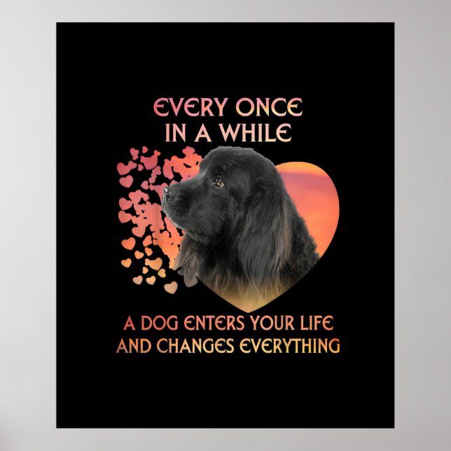 Every Once In A While A Dog Enters Your Life Poster (Front)