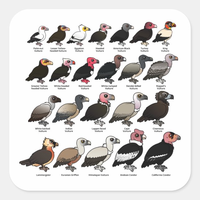 Every Vulture Square Sticker (Front)
