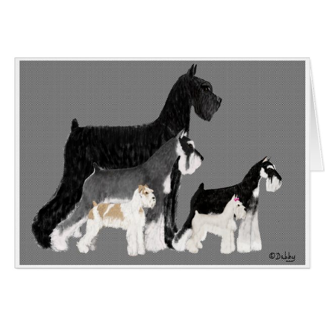 Everybody Different (Front Horizontal)