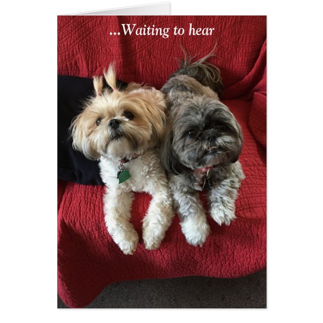 Everyday Cards/ Grace & Glory (Front)