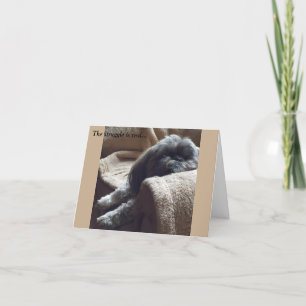 Everyday Cards/ Grace & Glory Card