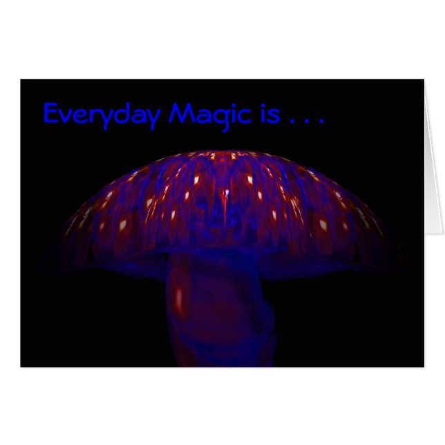Everyday Magic is . . . (Front Horizontal)