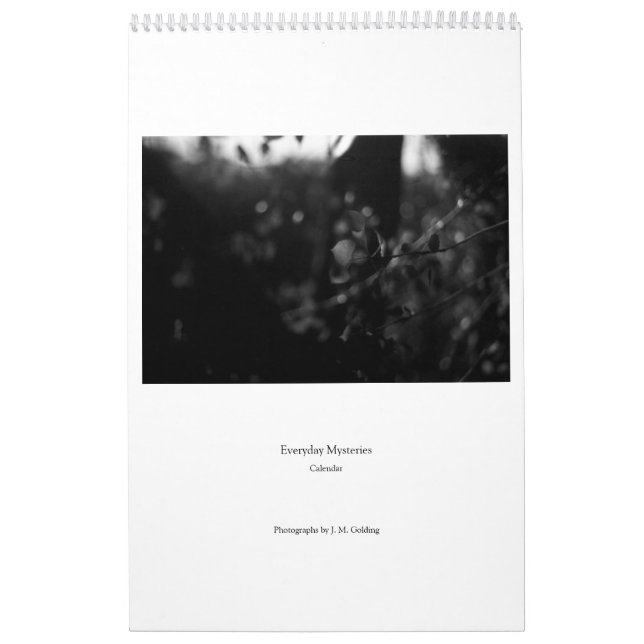 Everyday Mysteries Calendar (Cover)