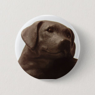 Everyone Loves a Labrador Retriever 6 Cm Round Badge