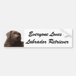 Everyone Loves a Labrador Retriever Bumper Sticker